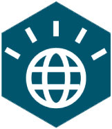 Network icon